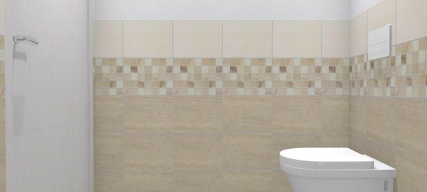 LAZIO WC